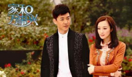 家和万事兴电视剧,温情演绎现代家庭和谐之道
